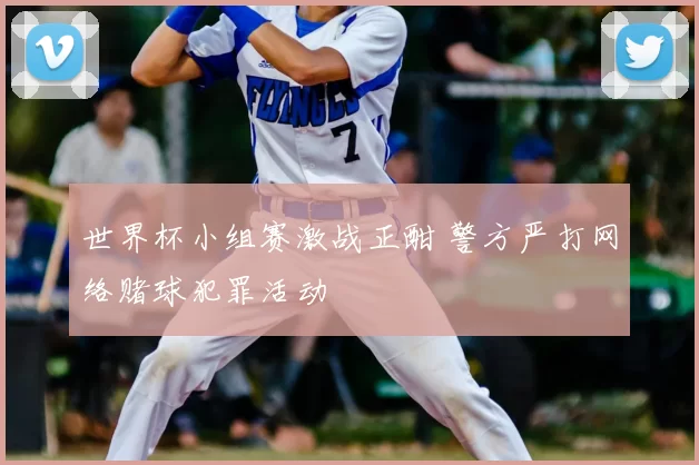 世界杯小组赛激战正酣 警方严打网络赌球犯罪活动