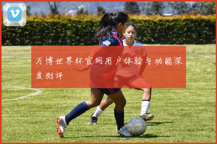 万博世界杯官网用户体验与功能深度测评