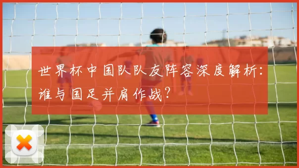 世界杯中国队队友阵容深度解析:谁与国足并肩作战?