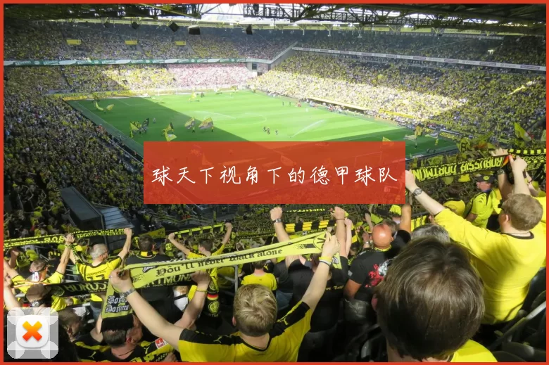 球天下视角下的德甲球队
