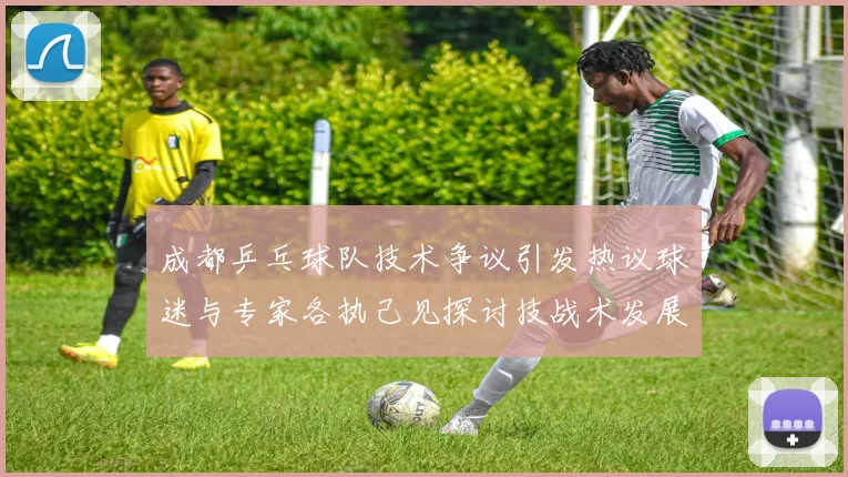成都乒乓球队技术争议引发热议球迷与专家各执己见探讨技战术发展