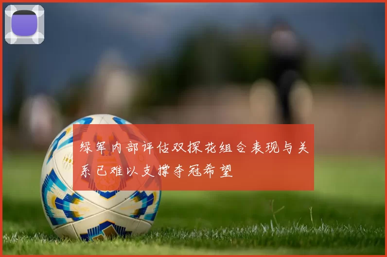 绿军内部评估双探花组合表现与关系已难以支撑夺冠希望