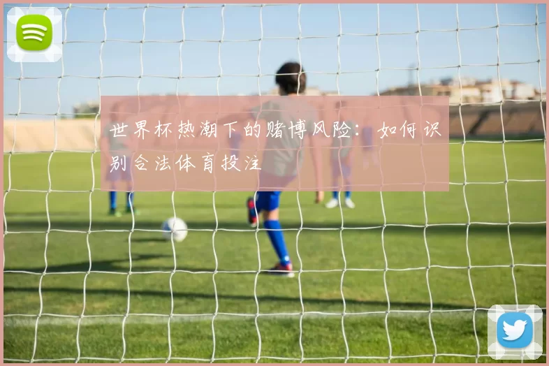 世界杯热潮下的赌博风险：如何识别合法体育投注