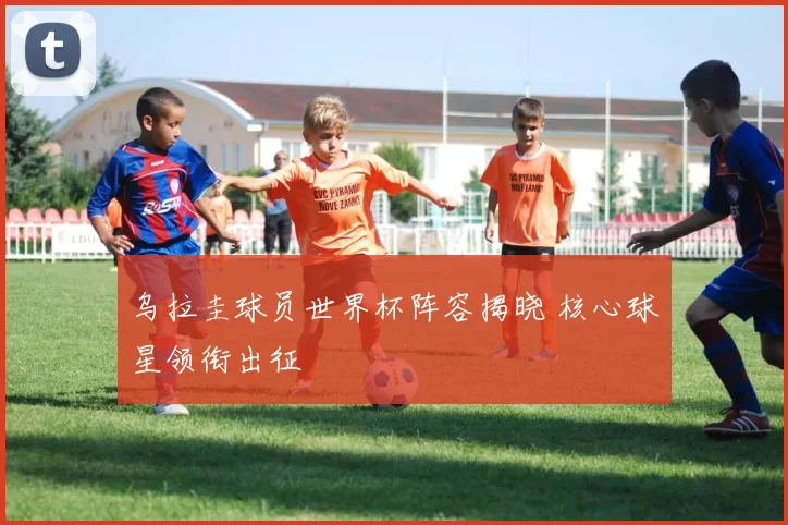 乌拉圭球员世界杯阵容揭晓 核心球星领衔出征