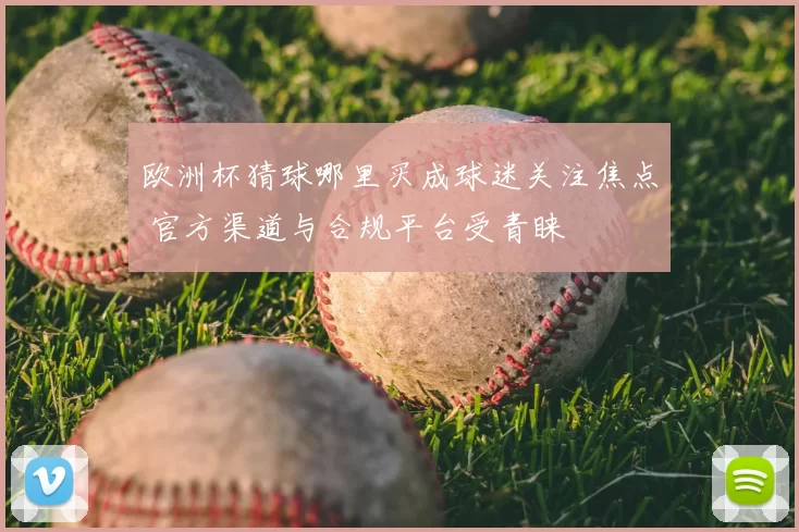 欧洲杯猜球哪里买成球迷关注焦点 官方渠道与合规平台受青睐