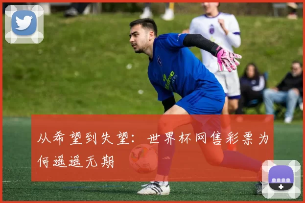从希望到失望:世界杯网售彩票为何遥遥无期